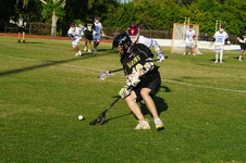Enlarge photo 372