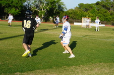 Enlarge photo 377