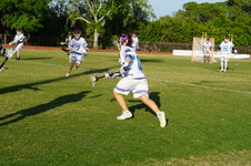 Enlarge photo 378