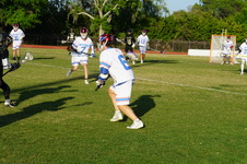 Enlarge photo 380
