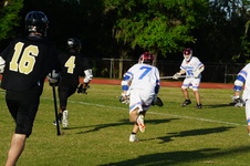Enlarge photo 384