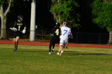 Enlarge photo 387