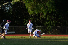 Enlarge photo 428