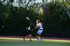 Enlarge photo 427