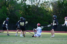 Enlarge photo 446