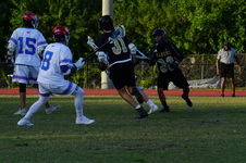 Enlarge photo 487