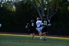 Enlarge photo 493