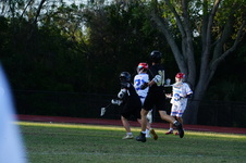 Enlarge photo 491
