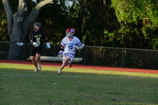 Enlarge photo 519