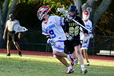 Enlarge photo 523