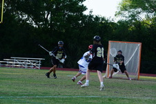 Enlarge photo 528