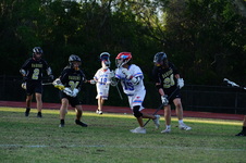 Enlarge photo 535