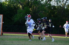 Enlarge photo 541