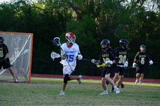 Enlarge photo 540