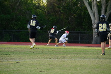 Enlarge photo 583