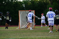 Enlarge photo 591