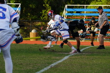 Enlarge photo 595