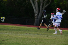 Enlarge photo 628