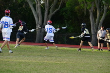 Enlarge photo 633
