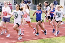 Enlarge photo 63