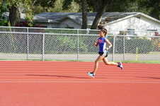 Enlarge photo 72