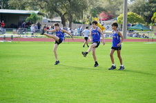 Enlarge photo 96