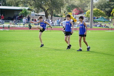 Enlarge photo 97