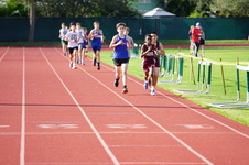 Enlarge photo 116