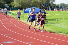 Enlarge photo 126