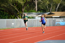 Enlarge photo 216
