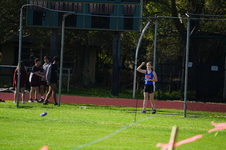 Enlarge photo 235