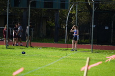Enlarge photo 237