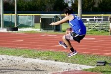 Enlarge photo 238