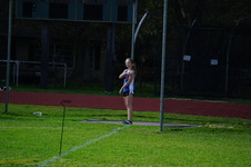 Enlarge photo 243