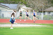 Enlarge photo 313