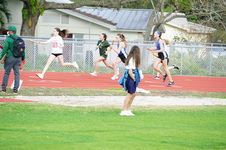 Enlarge photo 315