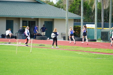 Enlarge photo 335