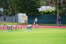Enlarge photo 343