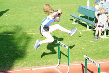 Enlarge photo 135
