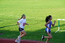 Enlarge photo 195