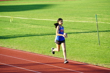 Enlarge photo 227
