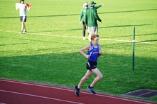 Enlarge photo 253