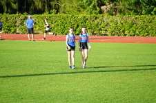 Enlarge photo 254