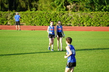 Enlarge photo 260
