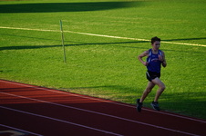 Enlarge photo 291