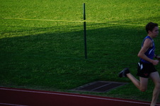 Enlarge photo 295