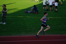 Enlarge photo 297