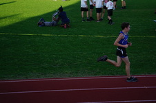 Enlarge photo 298