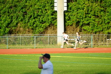 Enlarge photo 307