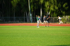 Enlarge photo 316